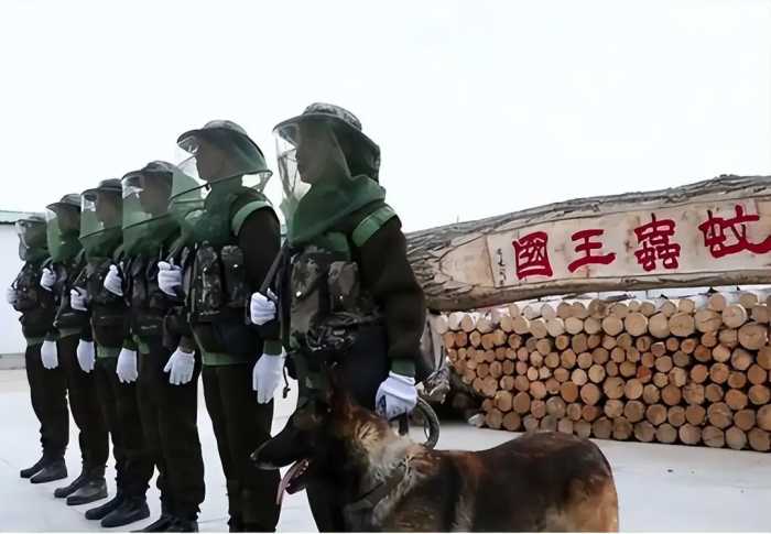中国北湾边防线：7只军犬被蚊子咬死，战士每天灭蚊装满20个脸盆