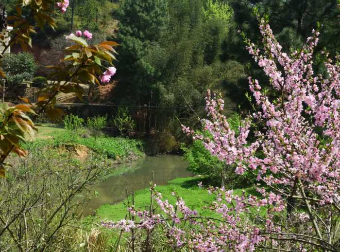 衡山地名文化就可真实客观地揭开桃花源在哪儿的千古之谜